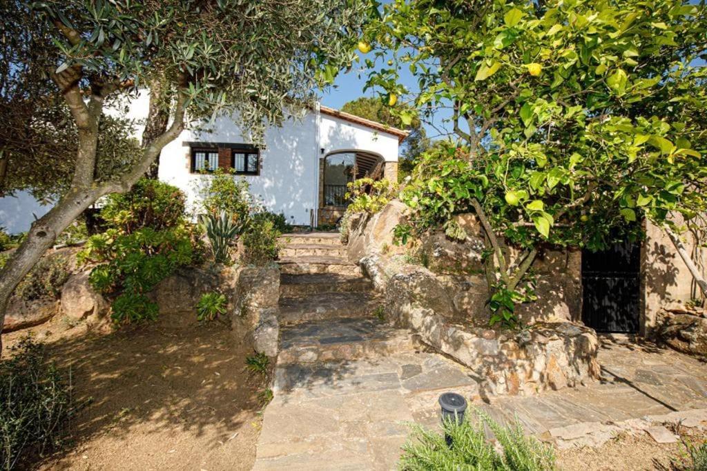Villa Boheme Costa Brava Калонже Экстерьер фото