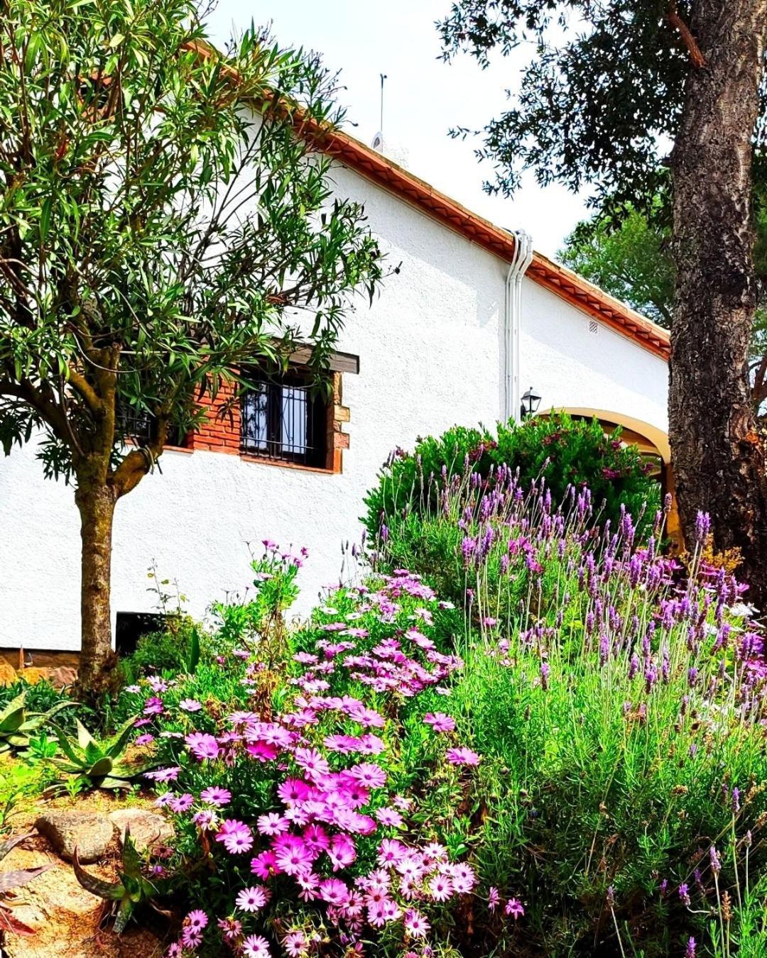 Villa Boheme Costa Brava Калонже Экстерьер фото